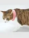 【among for pets】紅格立領