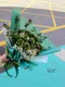 A2-28│乾燥花束│新北市花店│蘆洲花店│花束│訂花│送花