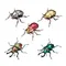 [7月預購] 生物大圖鑑 白金甲蟲與彩虹鍬形蟲 展示架套組 扭蛋 轉蛋 全5種 一套販售 金龜子 彩虹鍬形蟲 展示套組