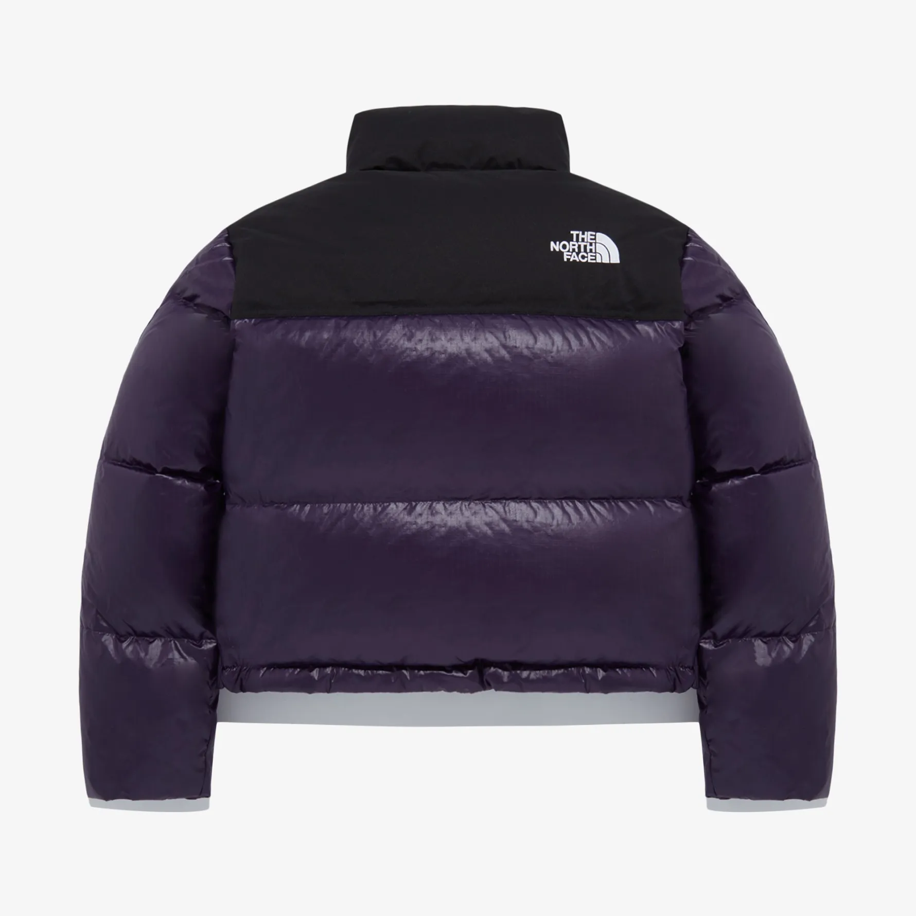 [THE NORTH FACE] ★W'S NOVELTY NUPTSE DOWN JACKET SE W'S NOVELTY NUPTSE DOWN JACKET SE - 영원아웃도어