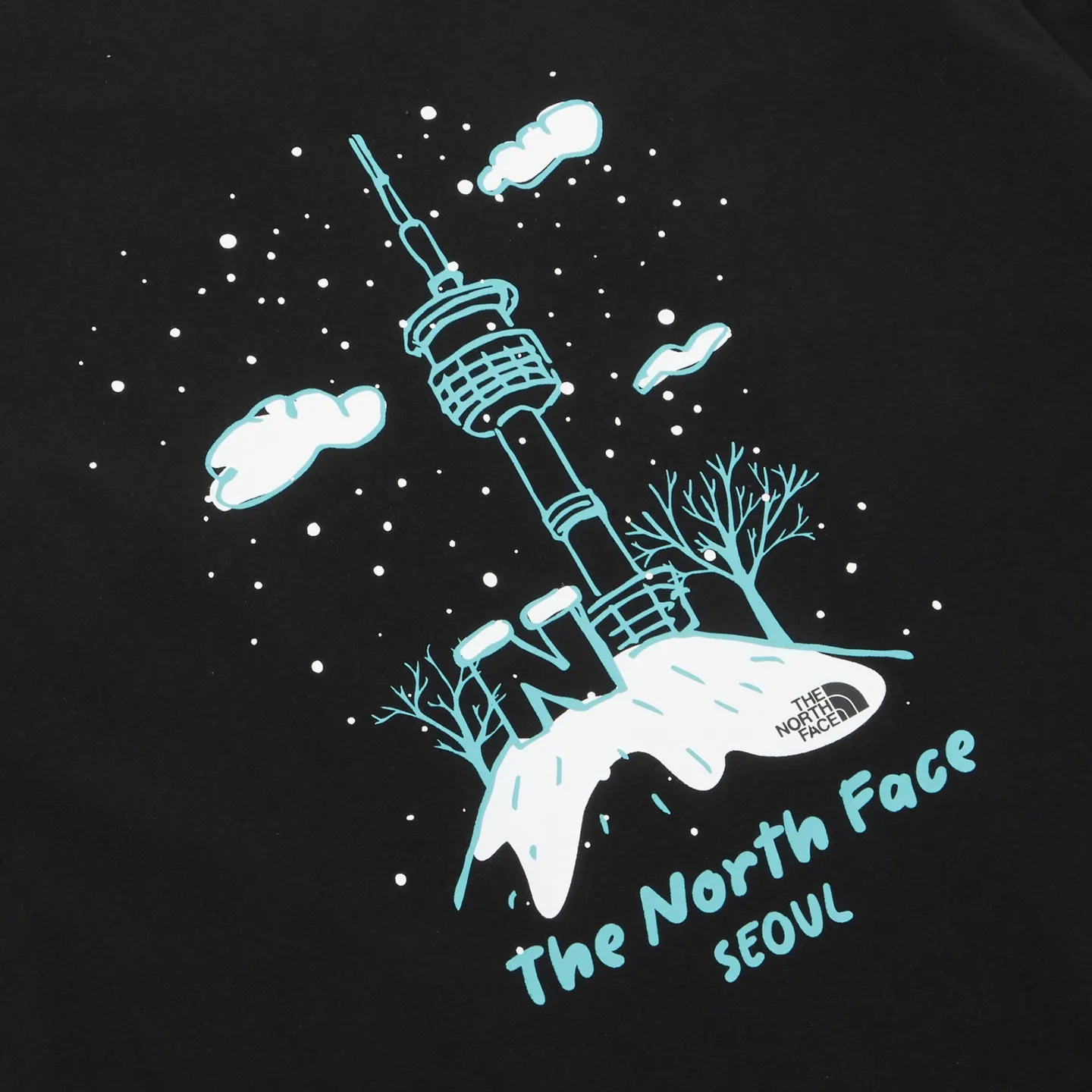 [THE NORTH FACE]★25SS★韓国人気★EIRA S/S R/TEE 日本未展開モデル 韓国WEB限定 THE NORTH FACE ザ・ノース