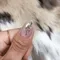 NOVEL Champagne pink brion mix 1212