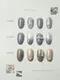 ARTiS di Voce 亮粉甲油膠8g CT020