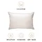 【官網限定】希臘製 COCO-MAT夜夜安眠枕(Grande款)，翻身不易落枕，讓您享受舒適睡眠。