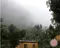 瓜地馬拉．雲霧莊園 ．厭氧日曬．淺焙