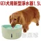 2016年新款日本GEX．犬用 視窗型-1.5L 自動飲水器 流動飲水器 活水飲水器 [E615]