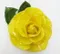 玫瑰綠葉大胸針 (8-10公分)  Large Rose with green leaf