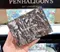 【 現貨 】PENHALIGON’S 獸首系列針管禮盒2ml*10