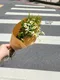 A5-13│畢業花束│新北市花店│蘆洲花店│花束│訂花│送花