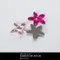 A1148 馬眼花造型亮鑽貼片 10入  (Star Cubic Zirconia)