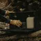 [ CARGO ]  工業風折疊收納箱-沙色/黑色/軍綠/灰色│四色 露營收納 居家收納 裝備袋 戶外收納箱