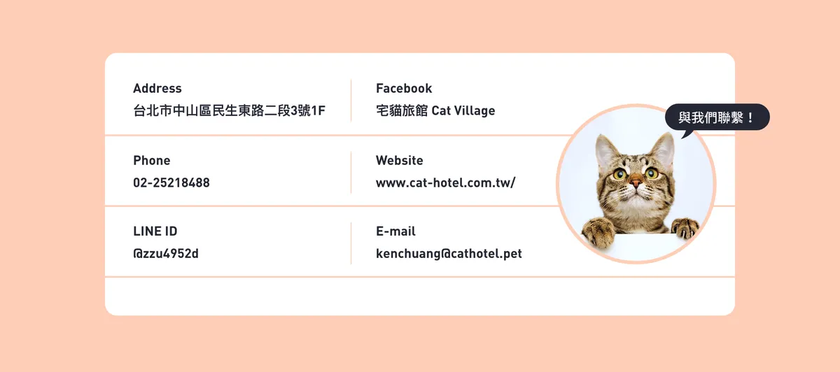 宅貓旅館cat Village 純貓旅美容獸醫健檢