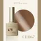 ARTiS di Voce 貓眼甲油膠8g CE067