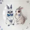 合作插畫藝術家-英格藍貓 The Brit Blue Kitten-六月的兔兔