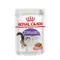 【喵村食堂😊】法國皇家貓主食濕糧85g★Royal Canin★餐包罐頭☆
