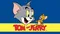 《 現貨 》正式授權 Tom& Jerry 立體方型抱枕