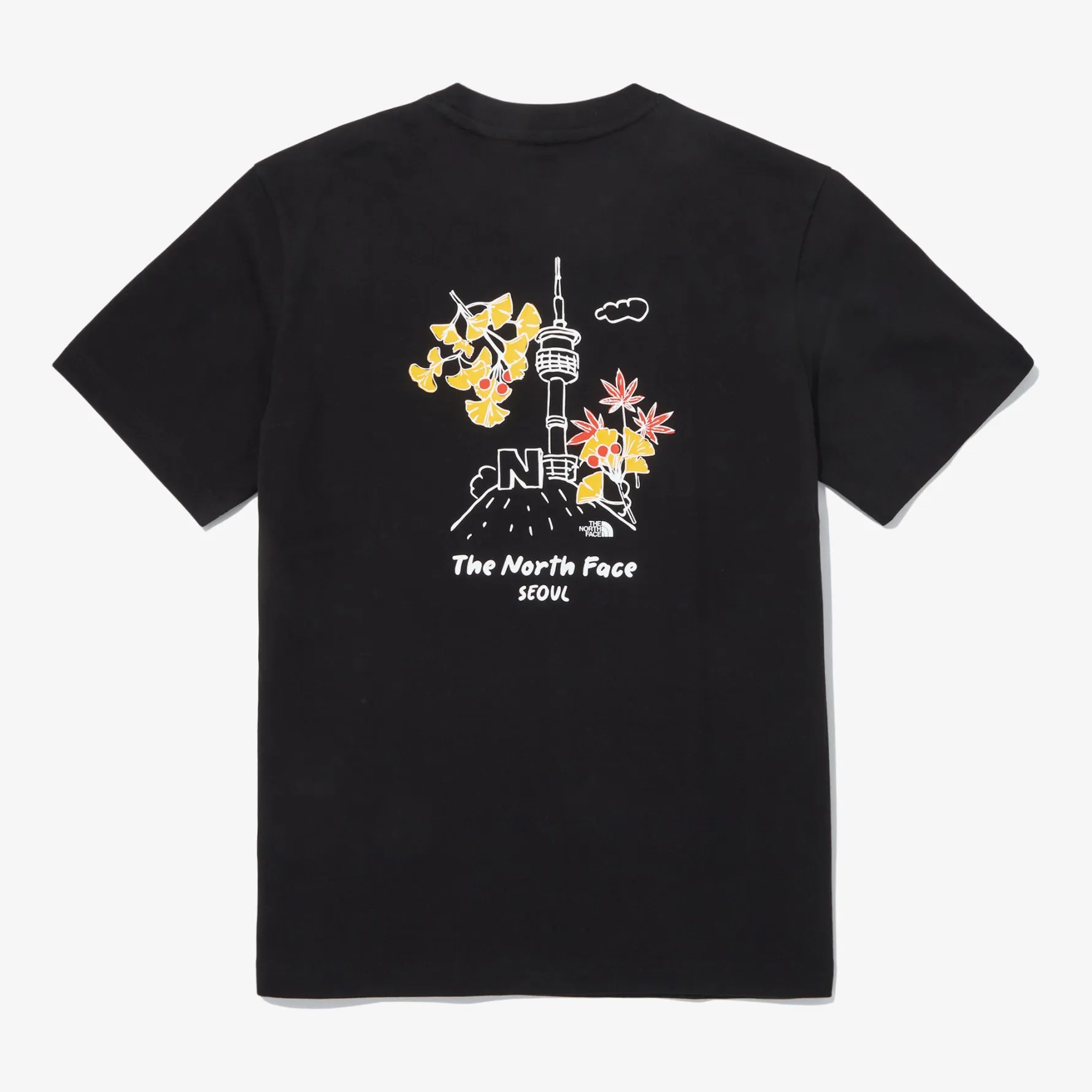 THE NORTH FACE SEOUL FOUR SEASONS S/S R/TEE 首爾塔短T 韓國