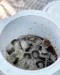 韓國製保冷飲料桶 (Nordisk同款) 調酒桶 啤酒桶