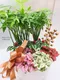 D1-10│送禮盆栽│新北市花店│蘆洲花店│開幕誌慶│新居落成│榮升誌慶│訂花│送花