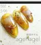 ageha gel Opti Color 彩色凝膠5-06