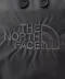 【 現貨 】日本紫標🇯🇵The North Face Cordura Nylon 側背包