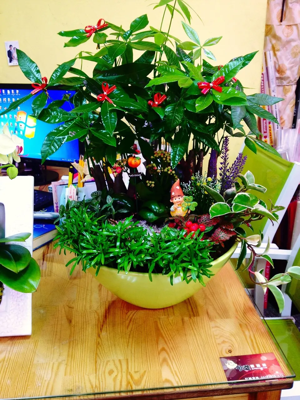 送禮盆栽 開幕盆栽 D1 10 新莊花店 蘆洲