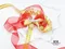 <特惠套組> 銀金紅寶套組  緞帶套組 禮盒包裝 蝴蝶結 手工材料 旋轉影片