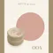 ARTiS di Voce 彩色凝膠2g 004