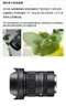 SIGMA 18-50mm F2.8 DC DN Contemporary Lens for FUJI X-MOUNT for SONY E-MOUNT for Canon RF Mount