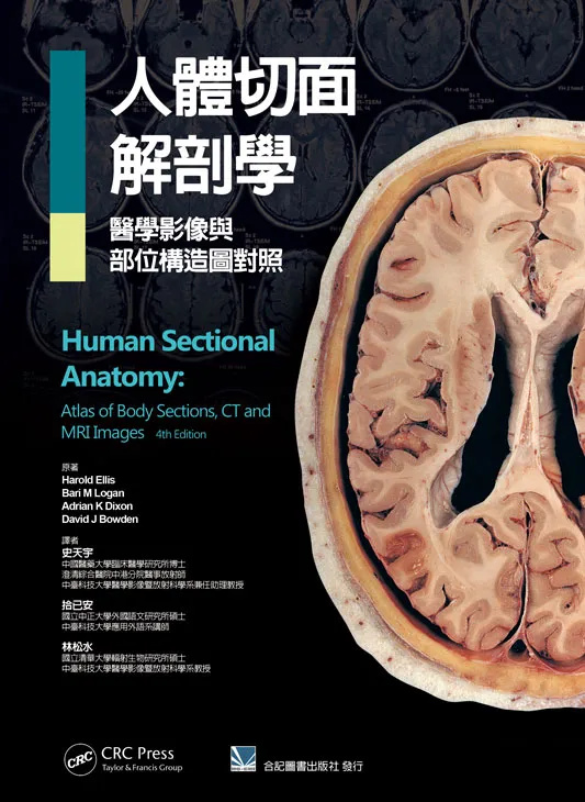 人體切面解剖學:醫學影像與部位構造圖對照(Human Sectional