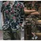 Folklore Classic 植物花卉草葉 復古熱帶古巴領夏威夷襯衫 雙色 Aloha shirt