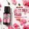 【澳維花園Aus Garden】天竺葵精油 16ml