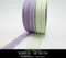 K1307-21 兩側跳線雪紗緞帶21MM(K1307-21 Striped Organza Ribbon -21MM)