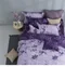 200織紗40支精梳棉薄被套床包組(加大)紫葉莊園