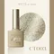 ARTiS di Voce 亮粉甲油膠8g CT003