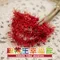 S035 紅蔥毛根鐵絲繩索 18mm  (S035 Red Glitter Wired Braid -18mm)