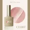 ARTiS di Voce 貓眼甲油膠8g CE007
