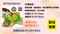 <團購限定>寵物用絨毛地墊｜緩慢進食｜減輕壓力｜互動樂趣｜可調難度｜寵物用品｜貓咪｜狗狗｜推薦好物