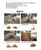 [ Coleman ]  上拉式快搭圓頂帳S  SOLO CAMP / CM-39089 快速帳