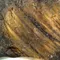 超光西藏隕石(高透光)-連結仙女星系 33.14g