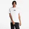 《 現貨 》The North Face Fine Alpine Equipment LOGO短T