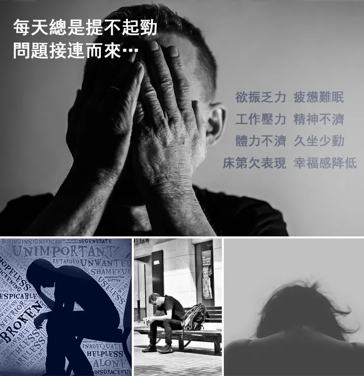 【藏賜寶】瑞草天卡膠囊