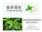 涼香茅皂200g｜素顏之本｜洗手｜洗臉｜洗澡｜薄荷｜夏季｜勁涼感｜涼爽｜肥皂