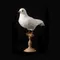 ARTIFICIAL BIRDS Dove / Large