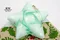 綠色星星禮盒包裝(KN493-42/Green Starry Box Packaging)