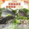【中華民國全國漁會】我愛國產魚迎新賀歲-小資組(龍虎石斑/龍虎石斑清肉/龍虎石斑切塊/金目鱸魚清肉/組)(含運)