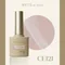ARTiS di Voce 貓眼甲油膠8g CE121