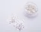 Nail Labo 亂切亮粉 銀
