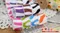 PR523 斑馬紋緞帶 16mm  (PR523 ZEBRA SPOTTED GROSGRAIN 16mm )