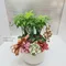 D1-10│送禮盆栽│新北市花店│蘆洲花店│開幕誌慶│新居落成│榮升誌慶│訂花│送花